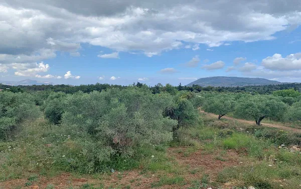 2,851 m² Plot of Land for Sale in Vamos, Apokoronas — photo 5