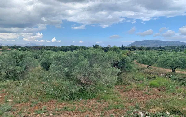 2,851 m² Plot of Land for Sale in Vamos, Apokoronas — photo 2
