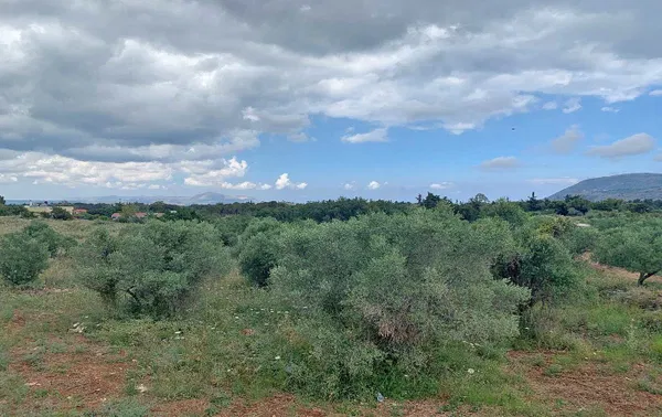 2,851 m² Plot of Land for Sale in Vamos, Apokoronas — photo 3