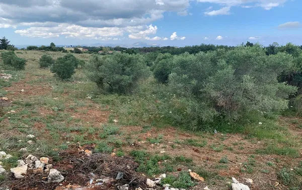 2,851 m² Plot of Land for Sale in Vamos, Apokoronas — photo 4
