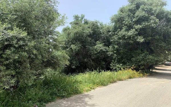 1,274 m² Land for Sale in Paleochora, Kandanos-Selino — photo 3