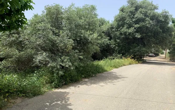 1,274 m² Land for Sale in Paleochora, Kandanos-Selino