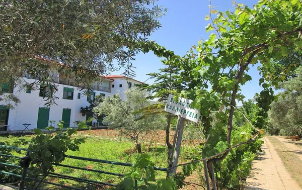Sea View Hotel for Sale in Oropos, Chalkoutsi — photo 5