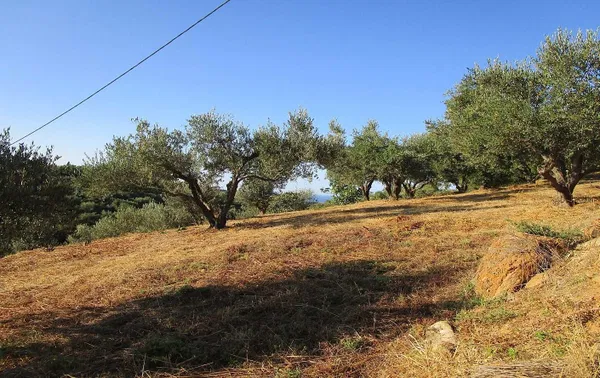 Sea-View 4,000 m² Plot of Land for Sale in Platanias, Chania — photo 5