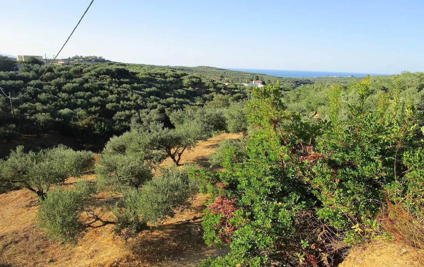 Sea-View 4,000 m² Plot of Land for Sale in Platanias, Chania