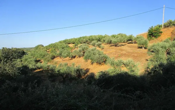Sea-View 4,000 m² Plot of Land for Sale in Platanias, Chania — photo 2