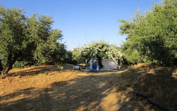 Sea-View 4,000 m² Plot of Land for Sale in Platanias, Chania — photo 4