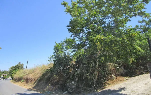 2,002 m² Plot of Land for Sale in Armenoi, Apokoronas — photo 3