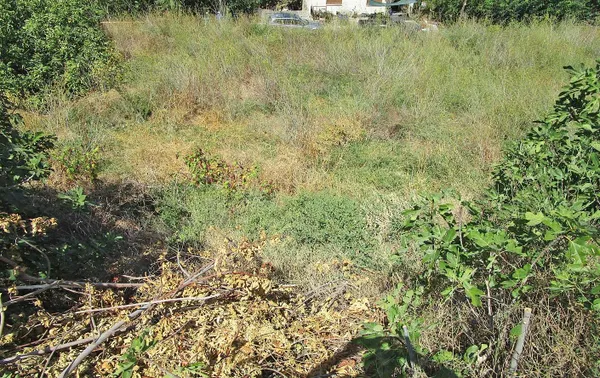 2,002 m² Plot of Land for Sale in Armenoi, Apokoronas — photo 5