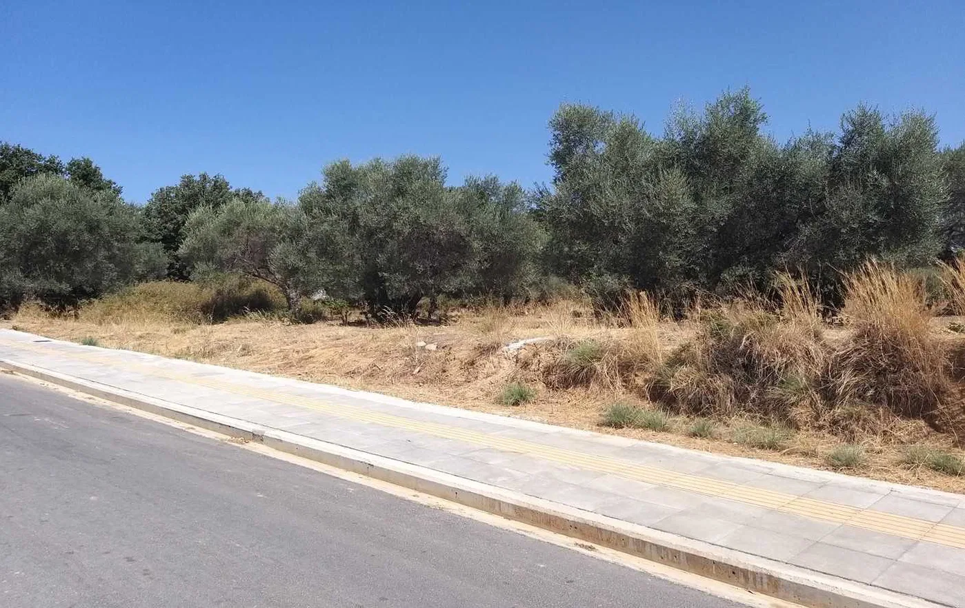 2,902 m² Plot for Sale in Vamvakopoulo, Chania