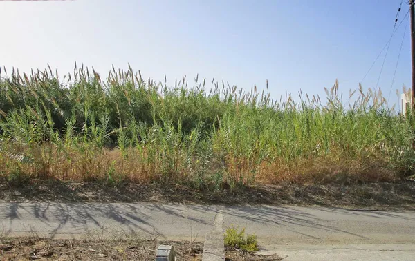 1,172 m² Land for Sale in Maleme, Platanias — photo 3