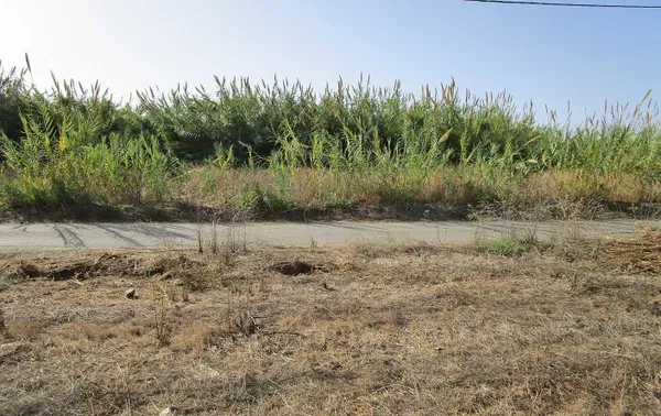 1,172 m² Land for Sale in Maleme, Platanias — photo 2