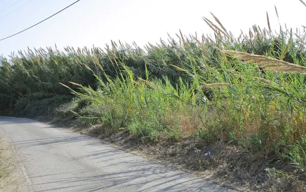 1,274 m² Plot of Land for Sale in Maleme, Platanias