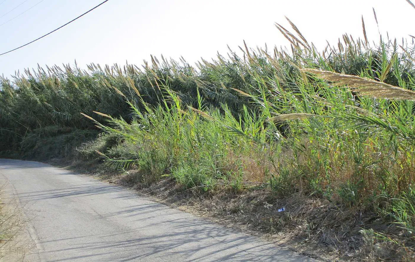 1,274 m² Plot of Land for Sale in Maleme, Platanias