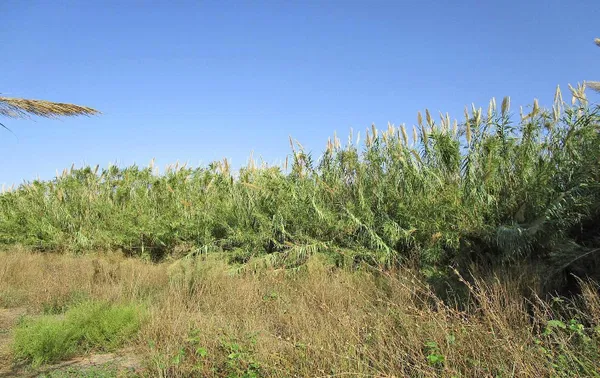 1,274 m² Plot of Land for Sale in Maleme, Platanias — photo 2