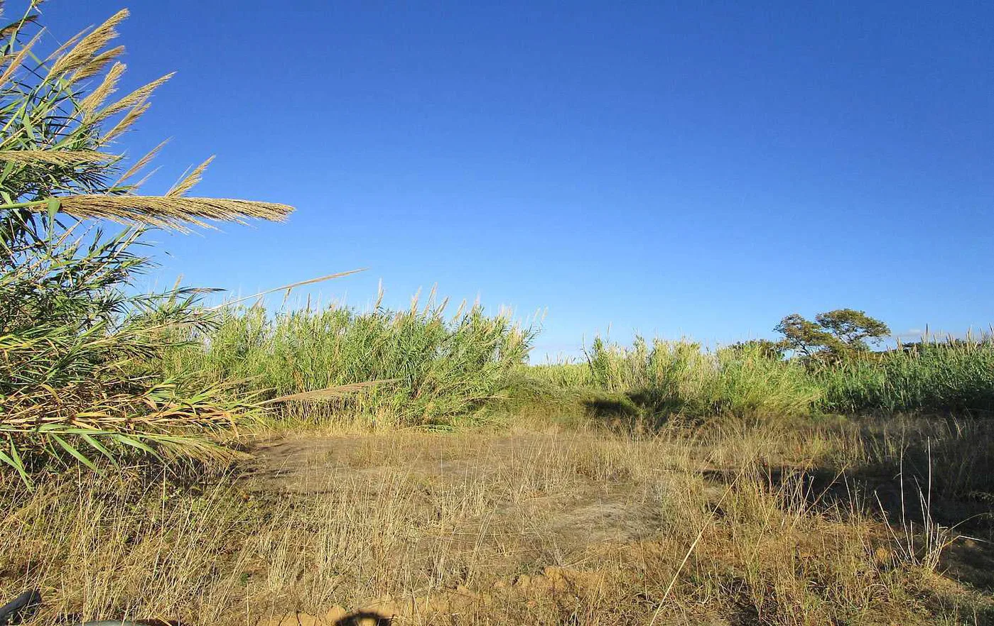 624 m² Plot for Sale in Maleme, Platanias