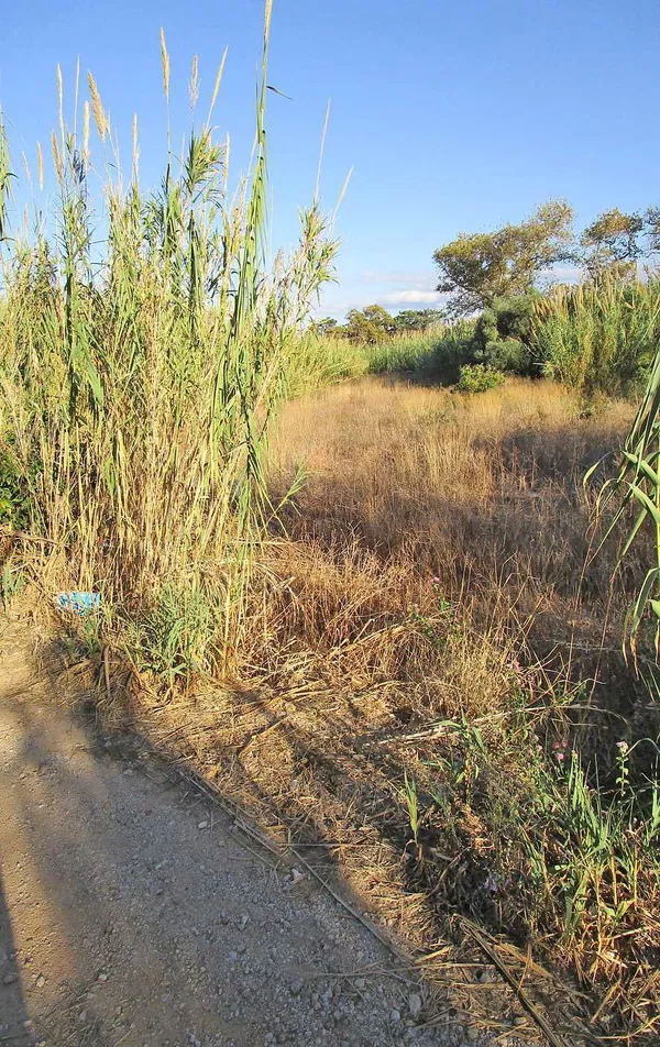 624 m² Plot for Sale in Maleme, Platanias — photo 3