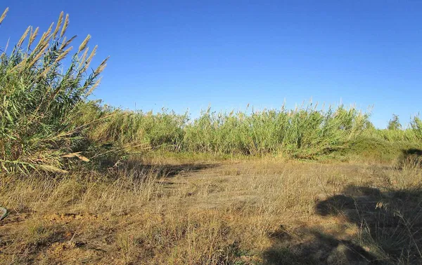 624 m² Plot for Sale in Maleme, Platanias — photo 4