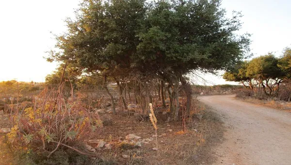 17,000 m² Land for Sale in Sternes, Akrotiri