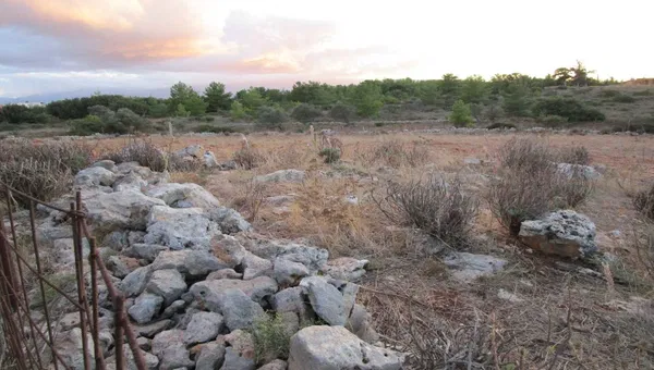 17,000 m² Land for Sale in Sternes, Akrotiri — photo 5