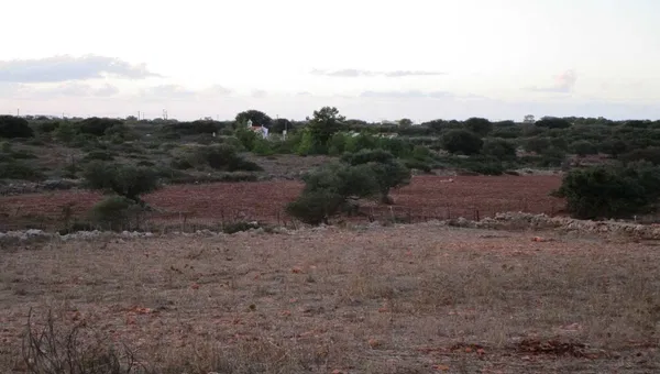 17,000 m² Land for Sale in Sternes, Akrotiri — photo 4