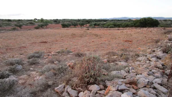 17,000 m² Land for Sale in Sternes, Akrotiri — photo 3