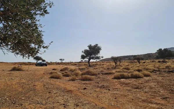 80,000 m² Plot of Land for Sale in Kokkino Chorio, Apokoronas — photo 3