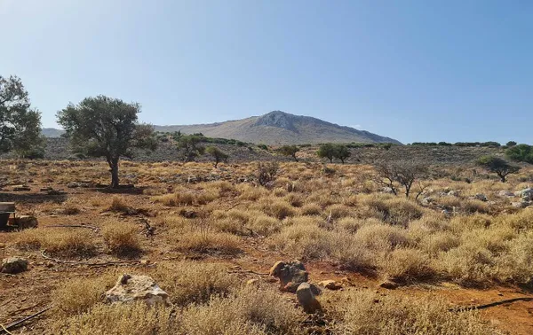 80,000 m² Plot of Land for Sale in Kokkino Chorio, Apokoronas — photo 2