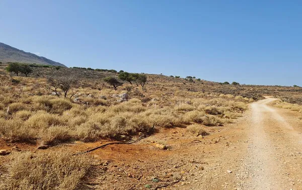 80,000 m² Plot of Land for Sale in Kokkino Chorio, Apokoronas