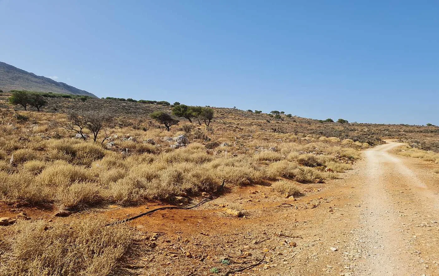 80,000 m² Plot of Land for Sale in Kokkino Chorio, Apokoronas