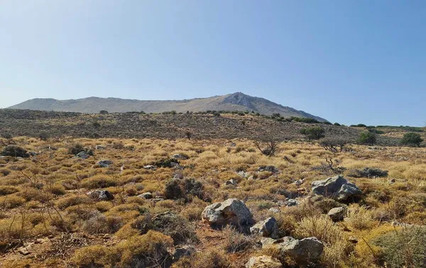 80,000 m² Plot of Land for Sale in Kokkino Chorio, Apokoronas — photo 4