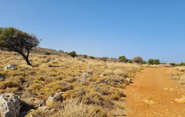80,000 m² Plot of Land for Sale in Kokkino Chorio, Apokoronas — photo 5