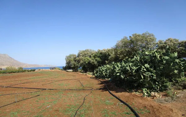Sea-View 4,000 m² Plot of Land for Sale in Kissamos, Chania