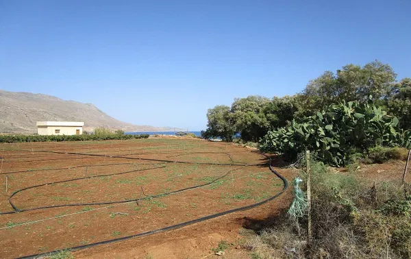 Sea-View 4,000 m² Plot of Land for Sale in Kissamos, Chania — photo 2