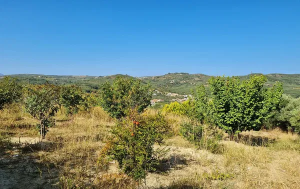 10,300 m² Plot of Land for Sale in Vouves, Platanias — photo 2