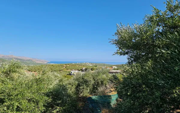 10,300 m² Plot of Land for Sale in Vouves, Platanias — photo 3
