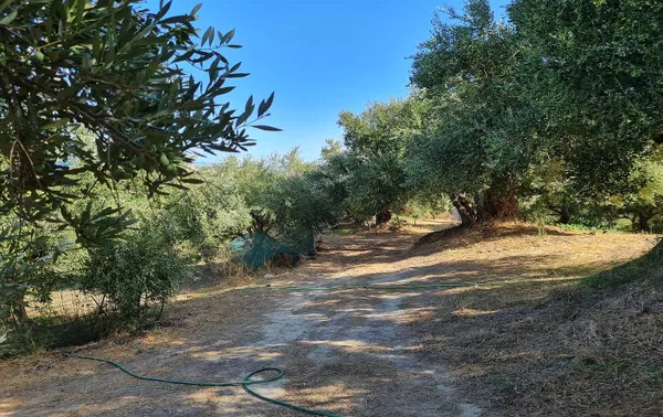 10,300 m² Plot of Land for Sale in Vouves, Platanias — photo 5