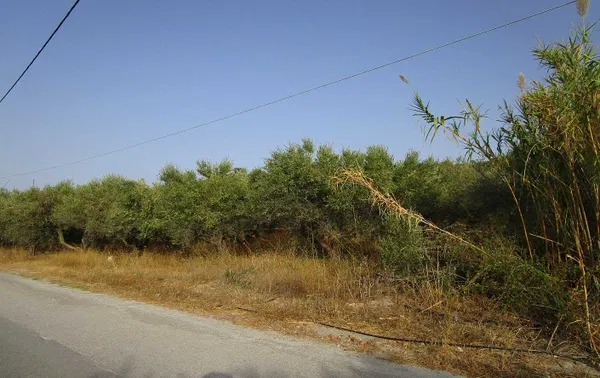 2,500 m² Land for Sale in Tavronitis, Platanias — photo 3