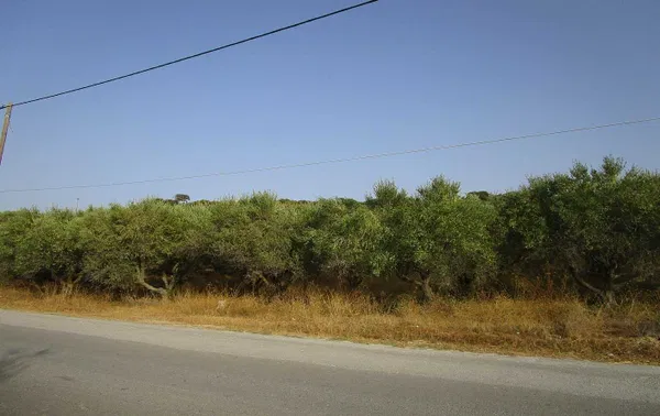 2,500 m² Land for Sale in Tavronitis, Platanias — photo 4