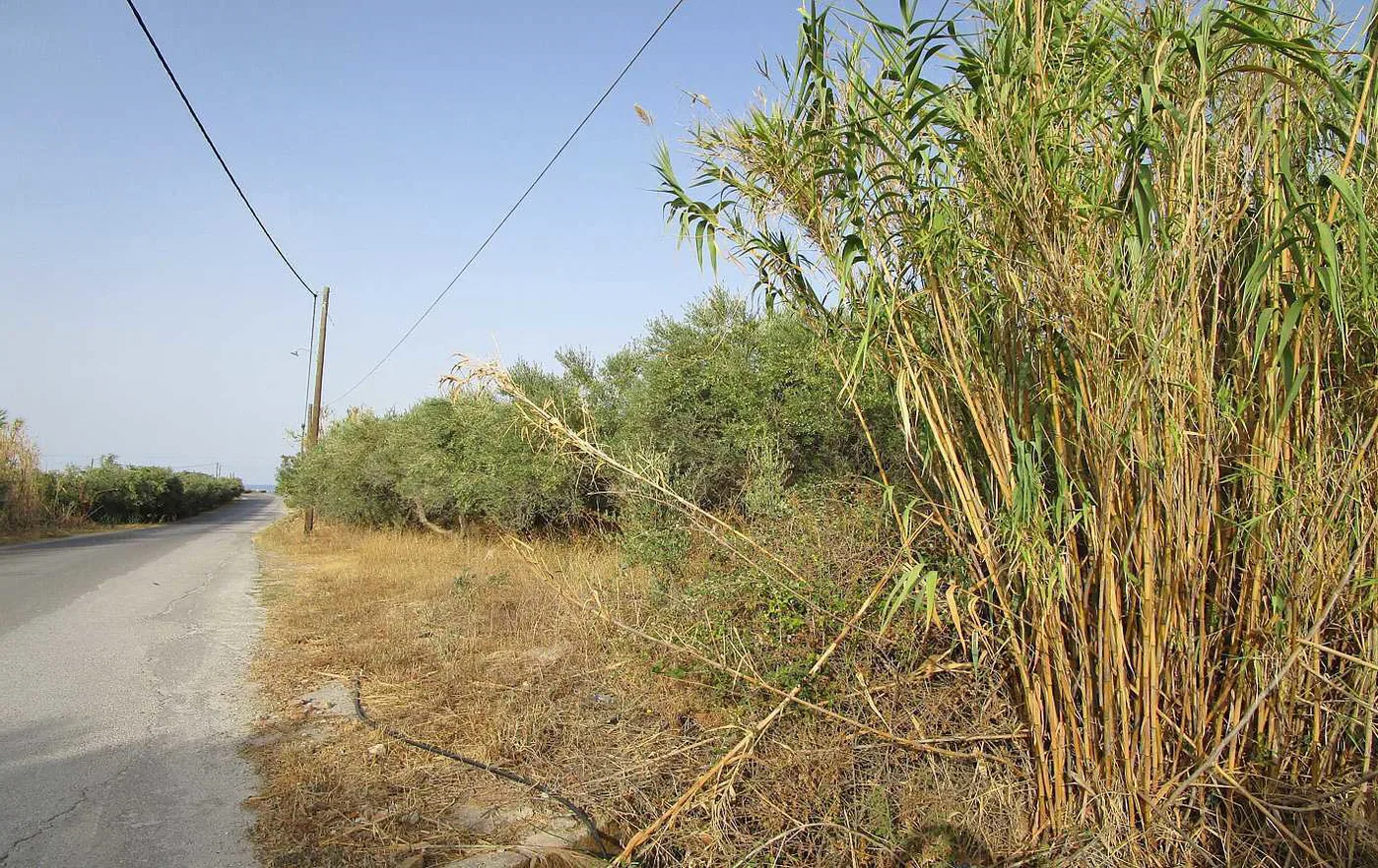 2,500 m² Land for Sale in Tavronitis, Platanias