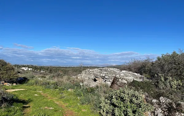 449 m² Plot of Land for Sale in Sellia, Apokoronas — photo 4