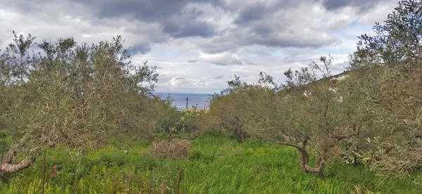 676 m² Land for Sale in Kokkino Chorio, Apokoronas — photo 3