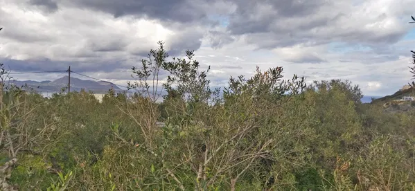 676 m² Land for Sale in Kokkino Chorio, Apokoronas — photo 5