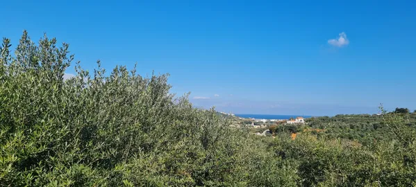 4,500 m² Plot for Sale in Platanias, Chania — photo 4