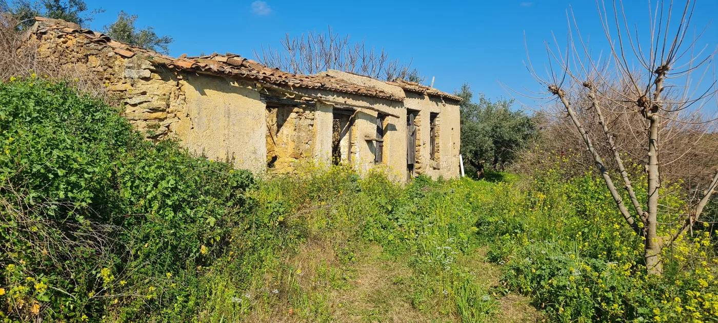4,500 m² Plot for Sale in Platanias, Chania