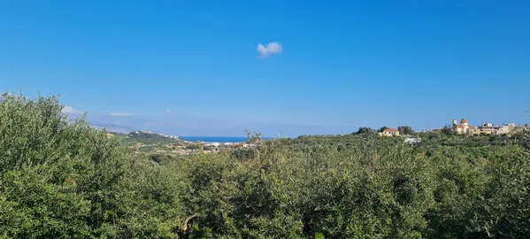 4,500 m² Plot for Sale in Platanias, Chania — photo 5