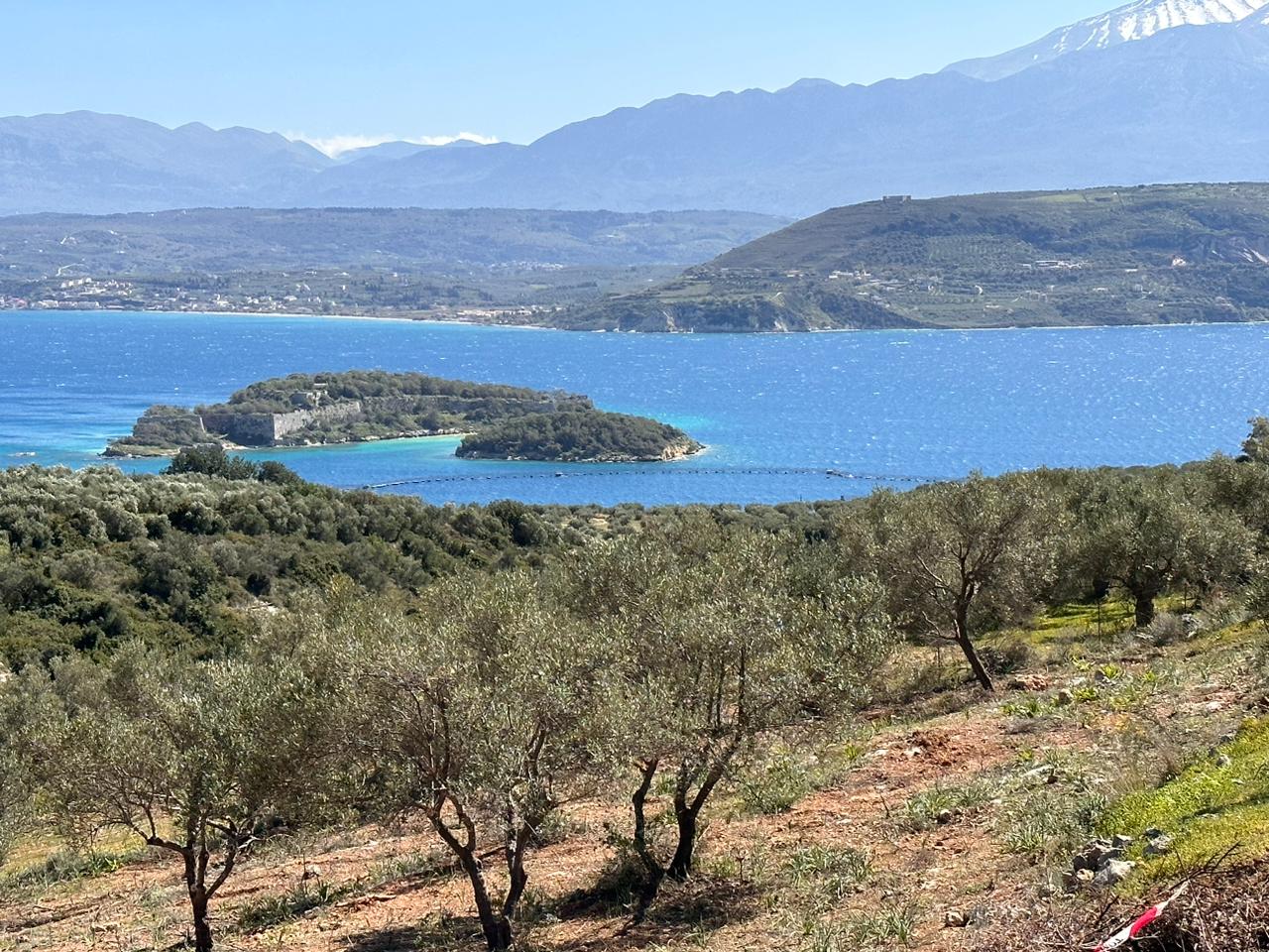 6,700 m² Plot for Sale in Sternes, Akrotiri