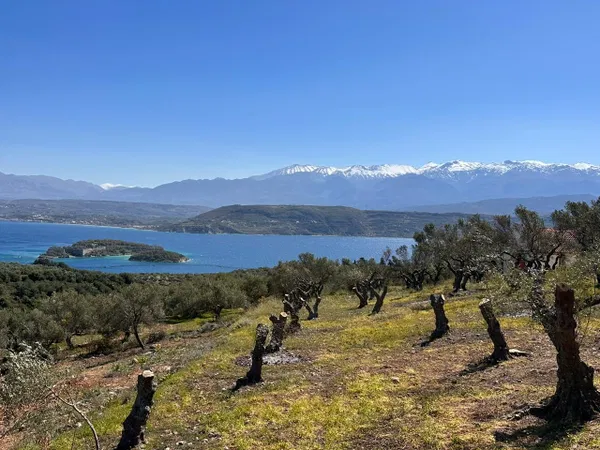 6,700 m² Plot for Sale in Sternes, Akrotiri — photo 4