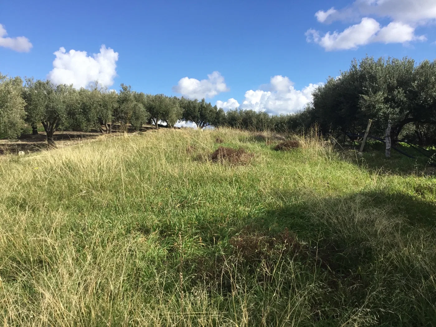 3,495 m² Plot of Land for Sale in Heraklion