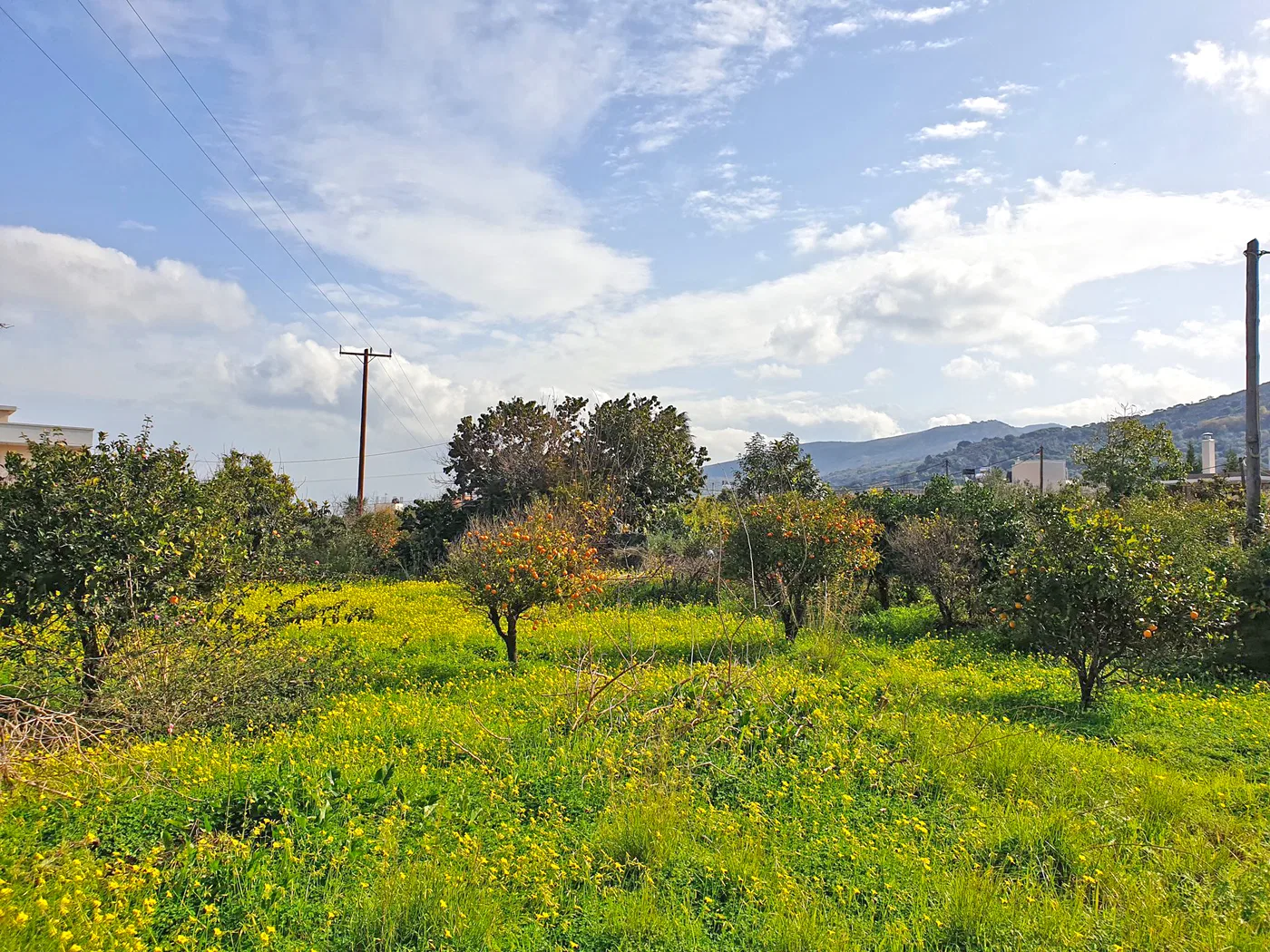 1,600 m² Land for Sale in Perivolia, Chania